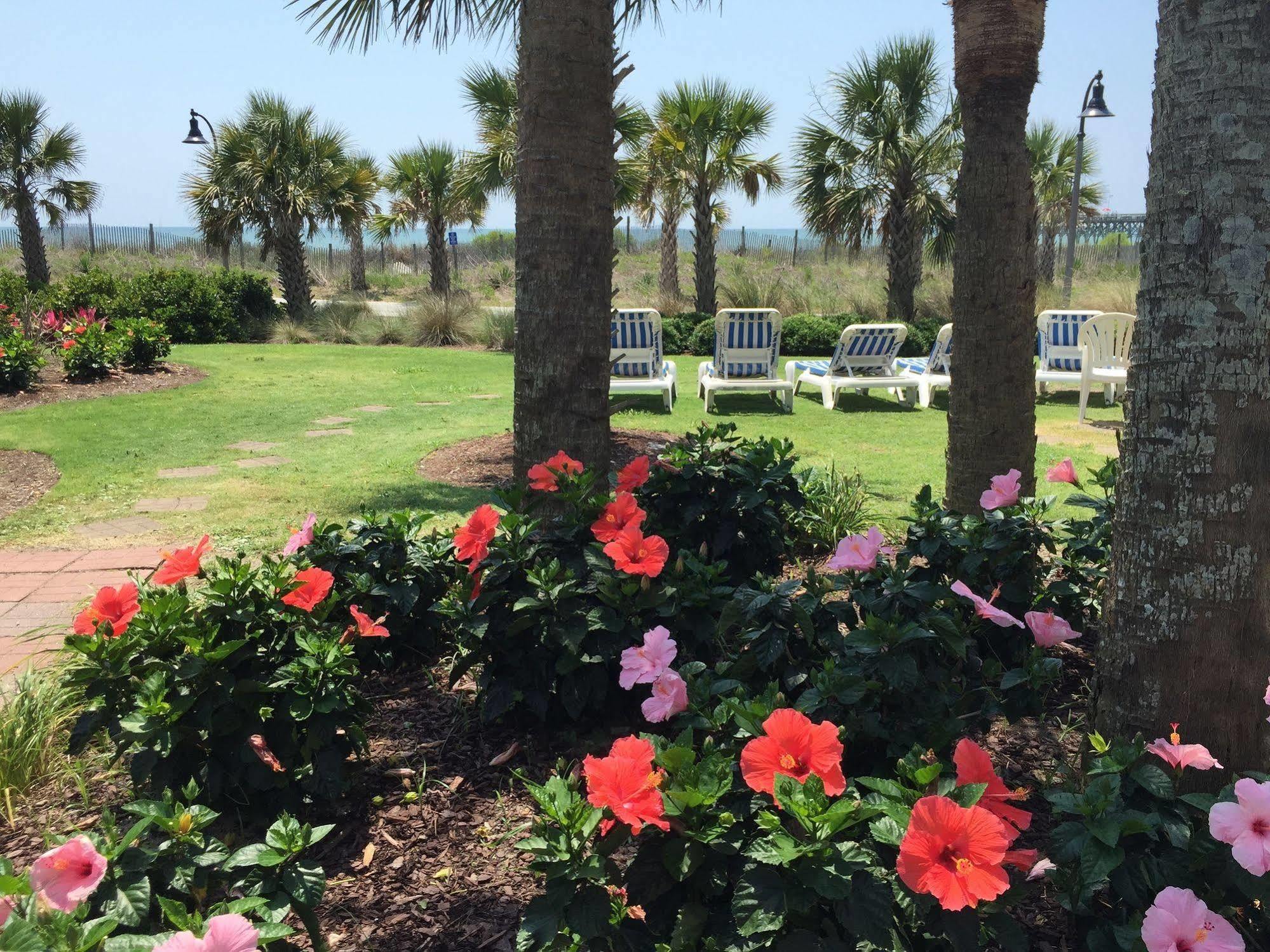 Windsurfer Hotel Myrtle Beach Esterno foto